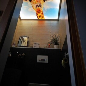 Kleines modernes Badezimmer mit Giraffen-Fototapete an der Decke und stilvollen Accessoires.