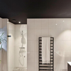 Modernes Badezimmer mit weiß gefliester Dusche, schwarzem Handtuchheizkörper und Zimmerpflanze.